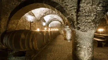 Barrels in dimly lit wine cellar.