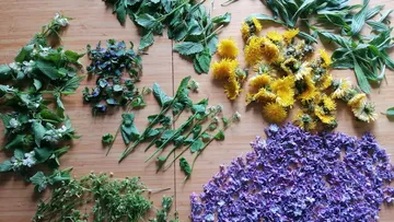 Various herbs and flowers on a wooden surface.