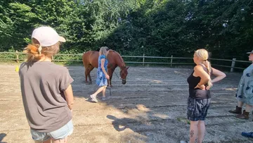 Pferd steht mit Menschen im Paddock.