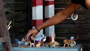 Hand ordnet Tierfiguren auf Tisch im Freien an.