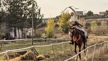 Man on horse shooting arrow in field.