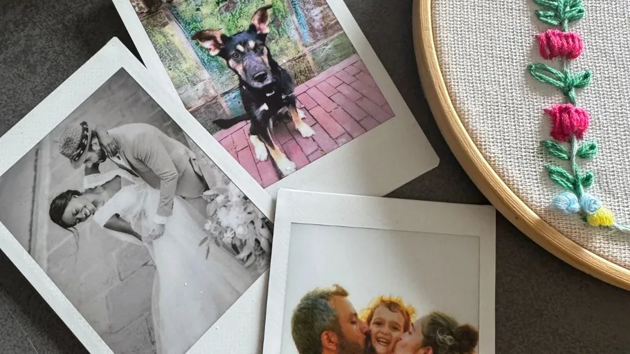 Drei Fotos mit Hund, Hochzeit, Familie.