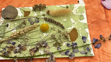 Getrocknete Blumen auf grünem Papier arrangiert.