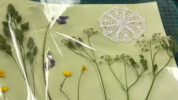 Pressed flowers and crochet on green paper.