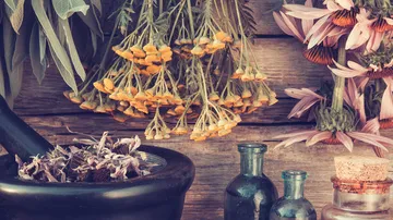 Herbs and flowers drying in rustic kitchen.
