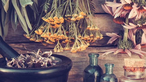 Wildkräuter & Yoga Wochenend-Retreat bei Köln