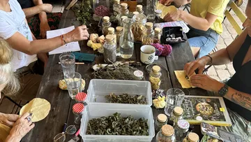 People crafting with herbs at wooden table.