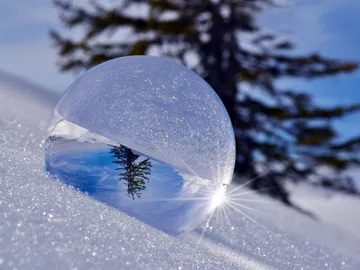 Kugel reflektiert Baum, liegt im glitzernden Schnee.