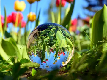 Glaskugel reflektiert Blumen im Garten unter blauem Himmel.