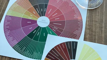 Bier-Aromarad zeigt Aromen auf Papier.