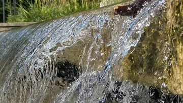 Wasser fließt über eine Steinplatte im Freien.
