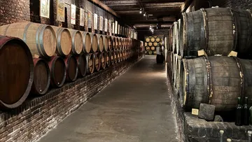 Wooden barrels stored in a wine cellar.