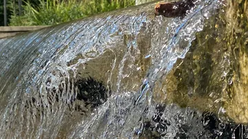 Water cascading over stone in sunlight