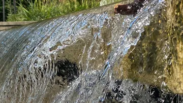Wasser fließt über eine Steinkante.