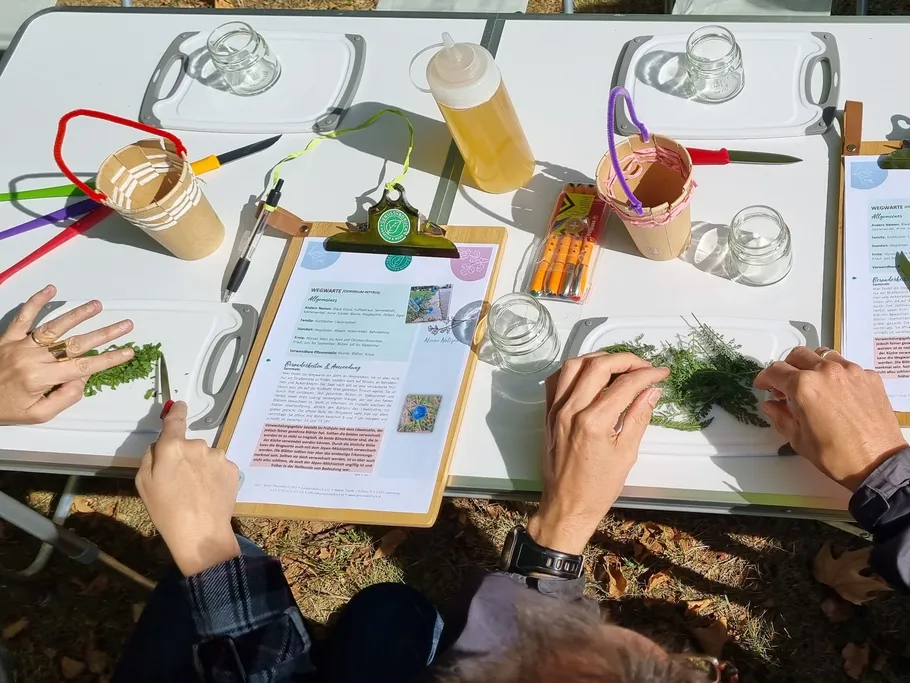Hands cut herbs on plates at a table.