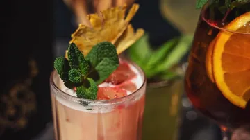 Cocktails with fruit and mint garnish.