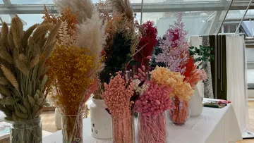 Verschiedene Trockenblumen auf einem Tisch arrangiert.