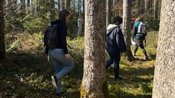 Menschen wandern durch einen dichten Wald.