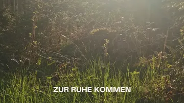 Von Sonne beschienene Lichtung mit Textüberlagerung.
