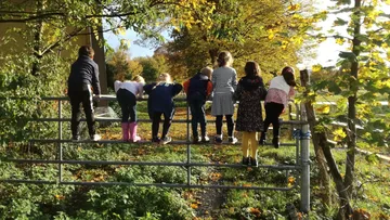 Children climbing a gate in a park.