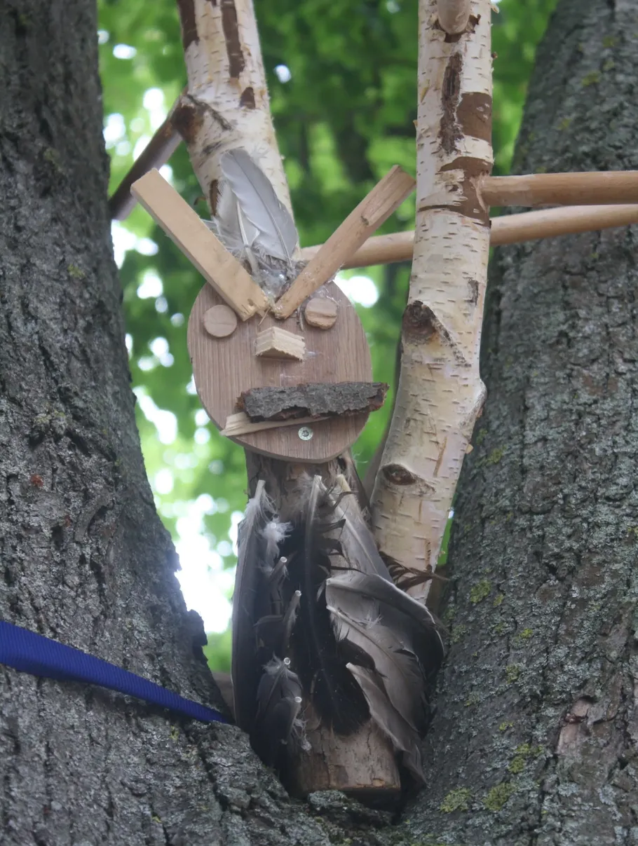 Holzeule sitzt auf Baumzweigen.