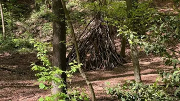 Stockshelter im Wald gebaut.