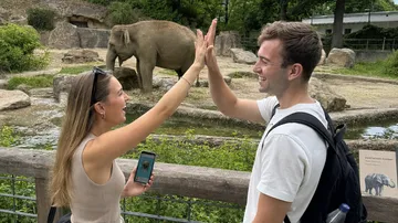 Zwei Menschen geben High-Five neben Elefant.