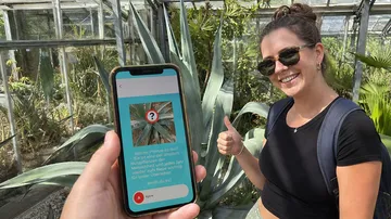 Person hält Handy mit Pflanzen-App im Gewächshaus.