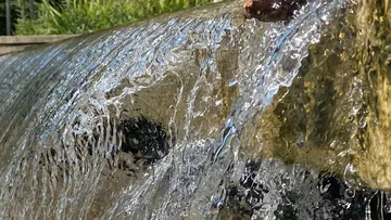 Wasser fließt über felsige Kante draußen.