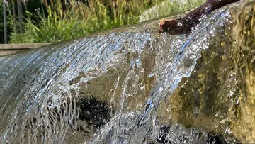 Wasser fließt über einen Steinvorsprung im Freien.