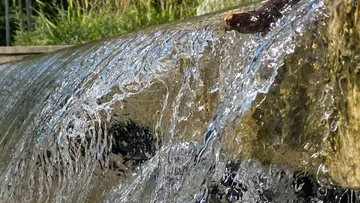 Wasser fließt über felsige Oberfläche im Freien.