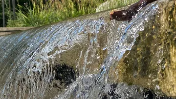 Wasser fließt über eine Felskante im Freien.