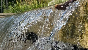 Wasser fließt über Steine in der Natur.