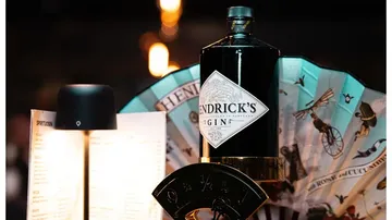Bottle of gin displayed on a fan.
