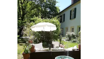 Patio chairs under umbrella in garden.