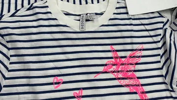 Striped shirt with pink hummingbird design.