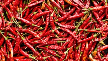 Rote Chilischoten dicht gestapelt.