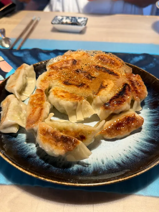 Fried dumplings on a decorative plate.