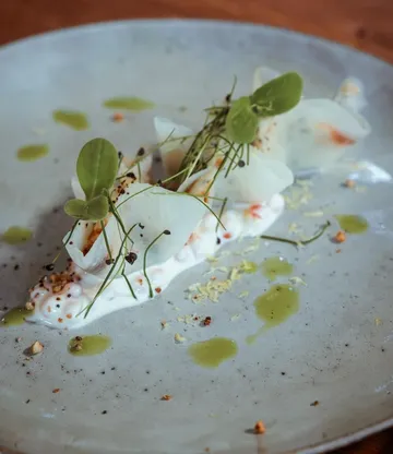 Gourmetgericht mit grünem Garnieren serviert.