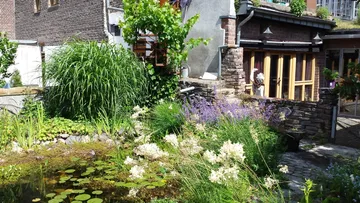 Garden with pond beside brick house