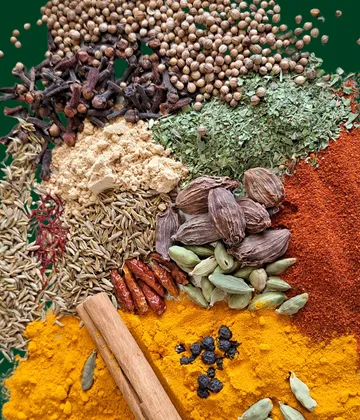 Assorted spices arranged on green background.