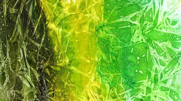Abstract green and yellow textured pattern.