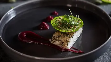 Gourmet fish dish with decorative herbs and sauces.
