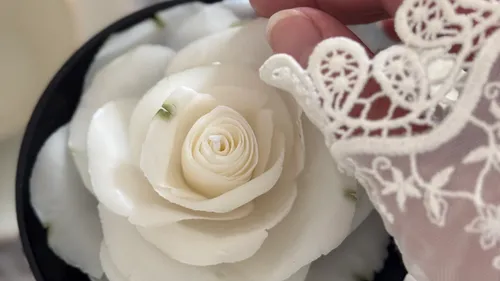 Hand with lace touches white flower.