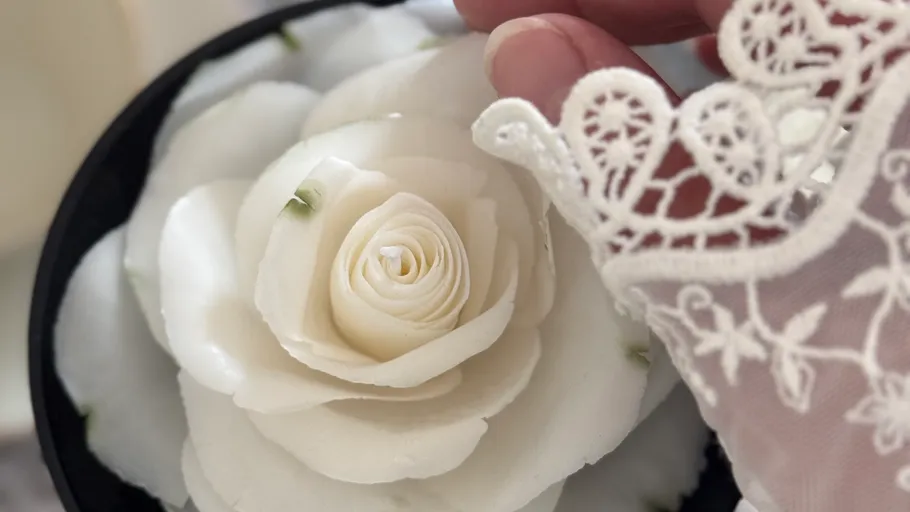 Hand with lace touches white flower.