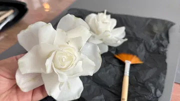 Weiße Blumen gehalten und auf Papier platziert.