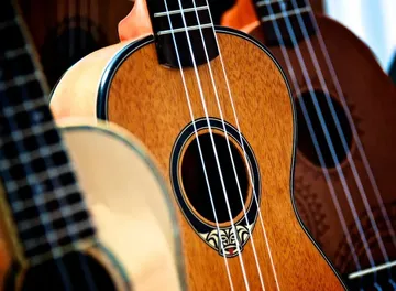 Ukulele-Sammlung in einem Geschäft ausgestellt.