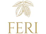 Chocolate Studio FERI logo