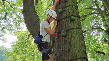 Kind klettert mit Sicherheitsausrüstung auf Baum.