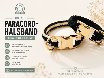 Paracord Hundehalsbänder auf dekorierter Oberfläche.